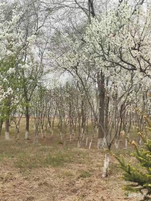 赤峰博達(dá)手機維修電話號碼查詢-第1張圖片