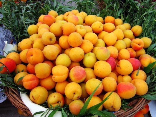 赤峰水果印字機廠電話號碼-第1張圖片