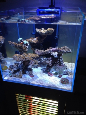 赤峰海水缸造景公司電話號碼-第1張圖片