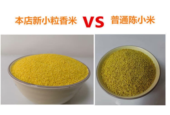 赤峰橋北小米售后地址電話號碼-第1張圖片