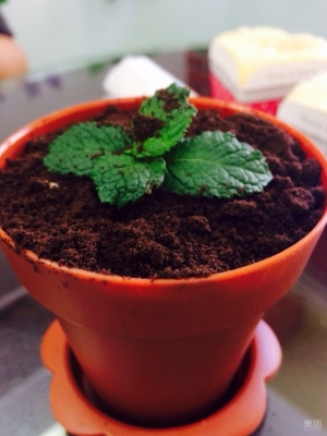 赤峰小米糕團(tuán)購電話地址查詢-第1張圖片