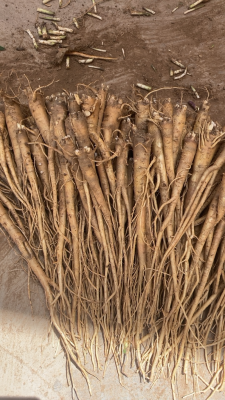 赤峰種植藥材合作社電話號碼-第1張圖片