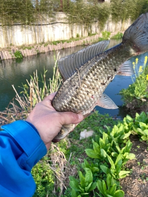 赤峰漁樂(lè)海洋公園電話號(hào)碼-第1張圖片