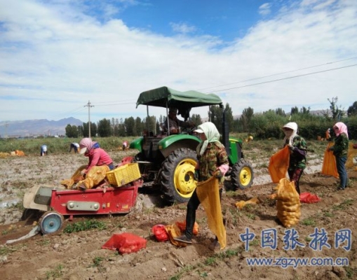赤峰市土豆流轉中心電話號碼-第1張圖片