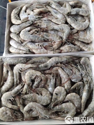 赤峰青蝦批發(fā)電話是多少號-第1張圖片