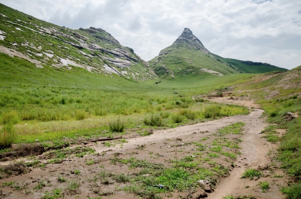赤峰北洼子村委主任電話號(hào)碼-第1張圖片