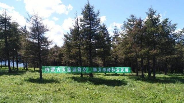 赤峰國(guó)際航空公司電話號(hào)碼-第1張圖片