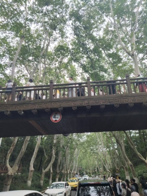 溫州到赤峰大巴車電話號碼-第1張圖片