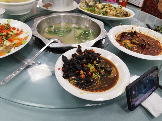 赤峰賣烏雞地方電話號碼是多少-第1張圖片