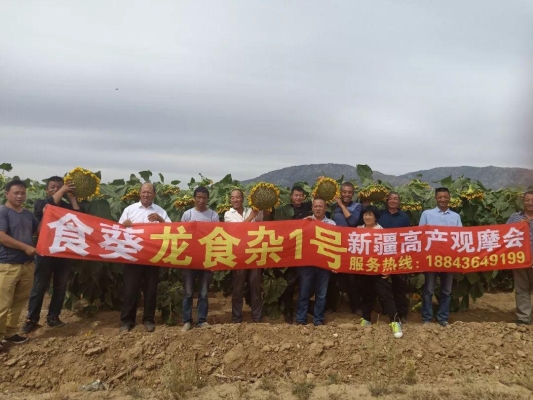 赤峰市大板鎮(zhèn)考場電話號碼-第1張圖片