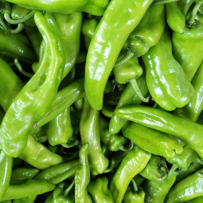 赤峰尖椒收購商電話地址查詢-第1張圖片