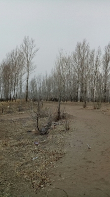 赤峰市敖漢旗燈籠會(huì)館電話(huà)號(hào)碼-第1張圖片