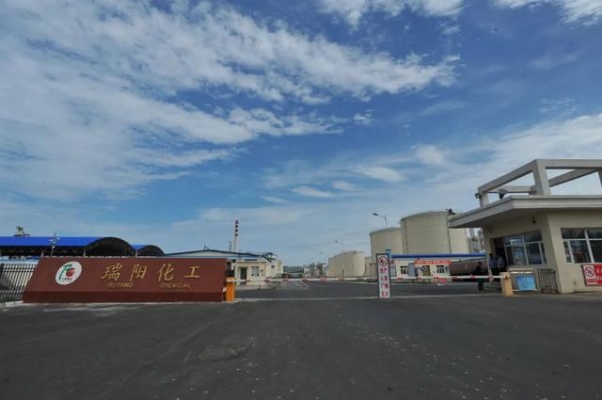 赤峰包谷種子銷售公司電話號碼-第1張圖片