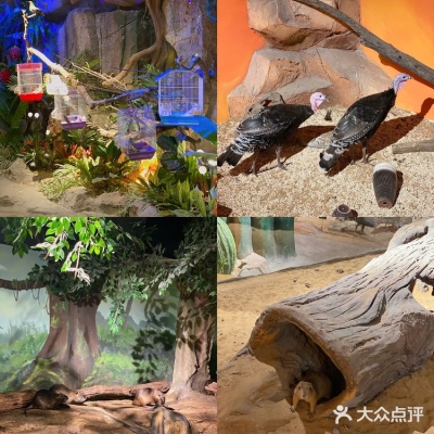 赤峰探店動(dòng)物園電話(huà)號(hào)碼-第1張圖片