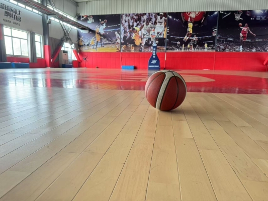 赤峰北極星籃球館電話號碼-第1張圖片