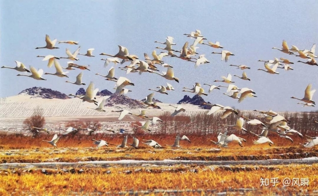 赤峰小天鵝專賣店電話號碼-第1張圖片