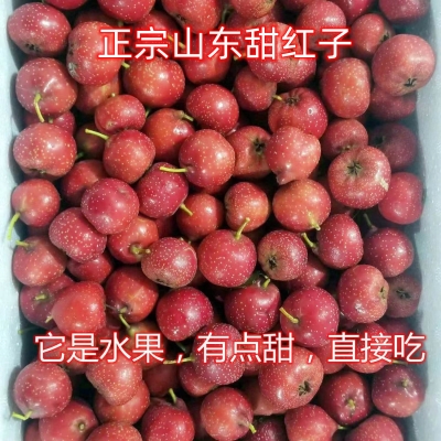 赤峰小糖葫蘆批發(fā)電話號碼-第1張圖片