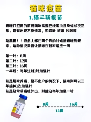 赤峰給貓打疫苗店電話號碼-第1張圖片