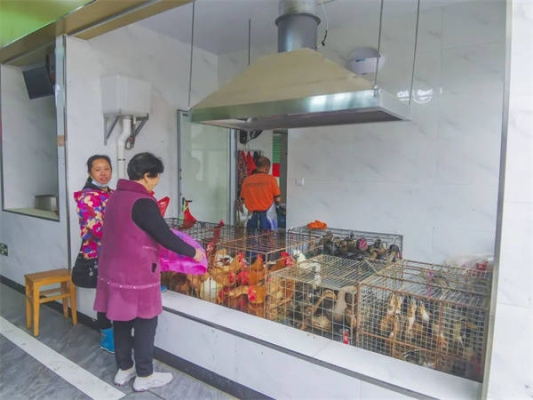 赤峰活雞交易市場-第1張圖片