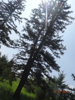 赤峰松樹園居委會電話號碼-第1張圖片