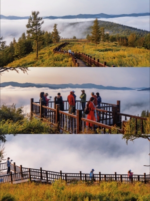 赤峰寶藏團(tuán)購(gòu)平臺(tái)電話(huà)號(hào)碼-第1張圖片