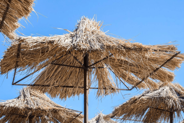 赤峰仿真茅草廠家電話地址查詢-第1張圖片