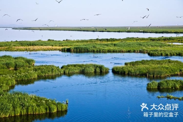 赤峰海達送貨上門電話號碼-第1張圖片