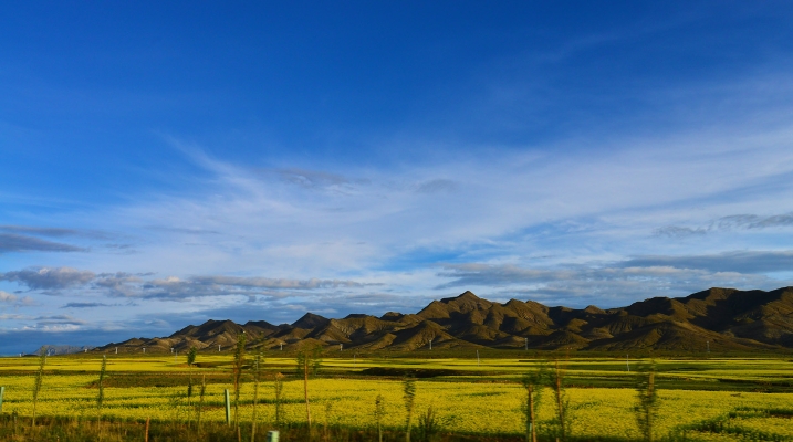 赤峰晨美家政團購電話號碼-第1張圖片
