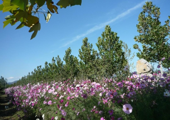 赤峰平莊麗麗美甲店電話號(hào)碼-第1張圖片