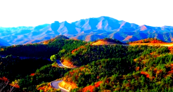 赤峰魅力皇爵電話號碼查詢-第1張圖片