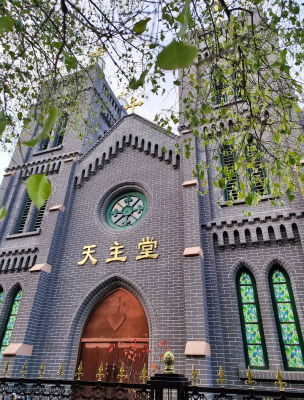 赤峰二道街西頭社區(qū)電話號(hào)碼-第1張圖片