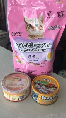 赤峰莘蒂寵物醫(yī)院電話號碼-第1張圖片