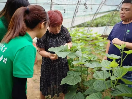 赤峰蔬菜代采電話是多少號-第1張圖片