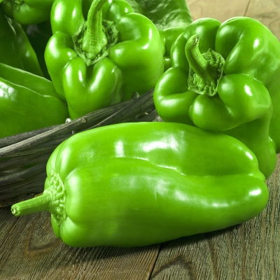 赤峰蔬坊蔬菜配送電話號(hào)碼-第1張圖片