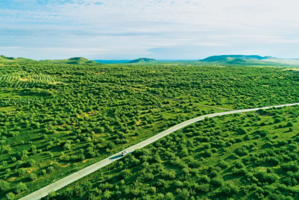 赤峰雙慶紙板廠地址電話號(hào)碼-第1張圖片