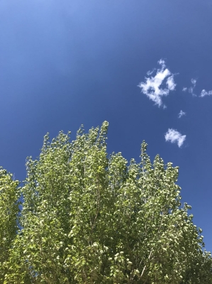 赤峰林西糧庫電話號碼查詢-第1張圖片