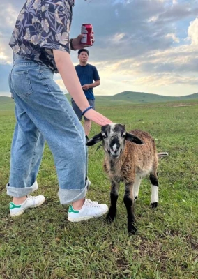 赤峰出租狗狗店電話多少號(hào)-第1張圖片