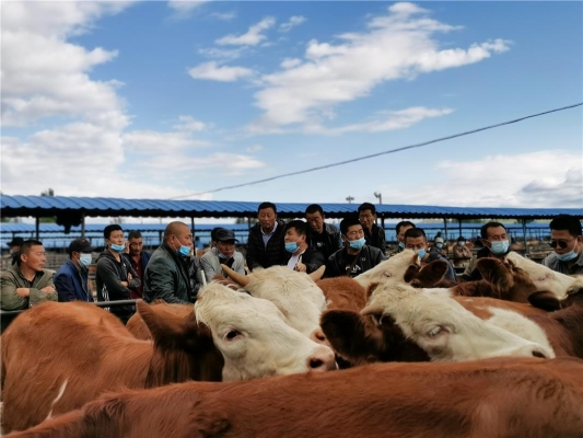 赤峰到林西統(tǒng)部客車(chē)電話號(hào)碼-第1張圖片