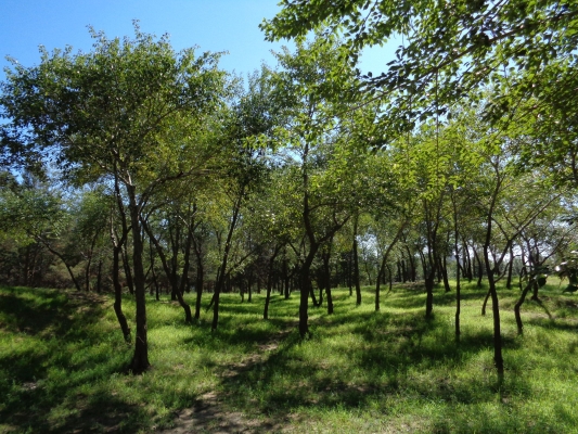 赤峰北臺子五家磚廠電話號碼-第1張圖片