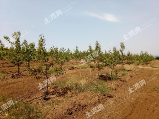 赤峰寧城倉儲電話號碼多少號-第1張圖片