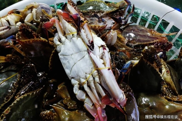 赤峰財神養(yǎng)殖場地址電話號碼-第1張圖片