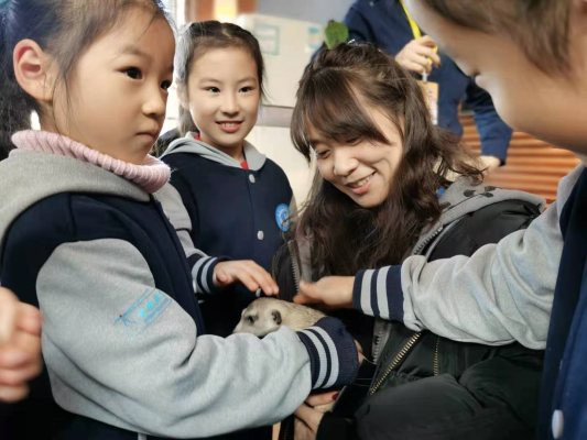 赤峰小動物衣服店電話號碼-第1張圖片