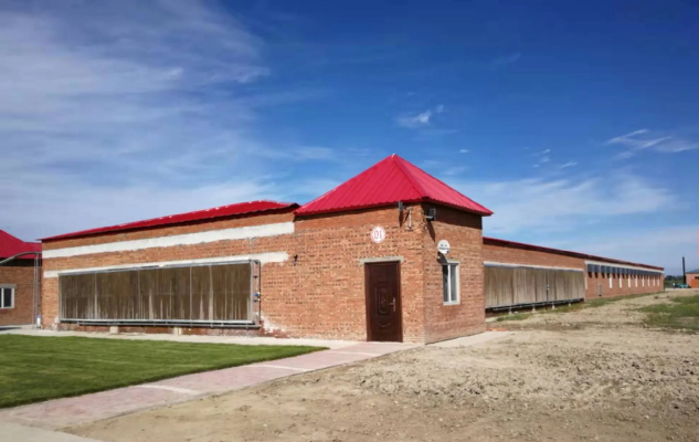 赤峰大偉養(yǎng)雞場電話號碼-第1張圖片