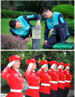 赤峰碧桂園服務(wù)熱線電話號碼-第1張圖片