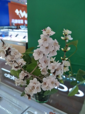 赤峰林東美甲店電話多少號-第1張圖片