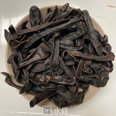 赤峰收水蛭電話是多少號(hào)碼-第1張圖片