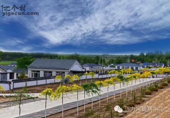 赤峰市天山跑腿公司電話號碼-第1張圖片