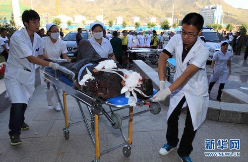 赤峰到固始的大巴電話號碼是多少-第1張圖片