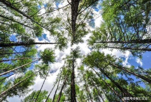 赤峰景區(qū)管理房地產(chǎn)電話(huà)號(hào)碼-第1張圖片