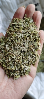 赤峰市種子檢測中心電話號碼-第1張圖片